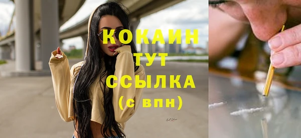 стаф Абаза