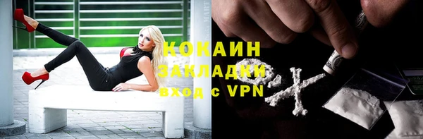 шишки Абдулино