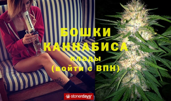 шишки Абдулино