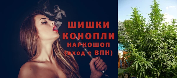 стаф Абаза