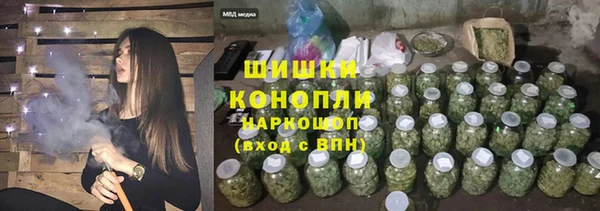 стаф Абаза