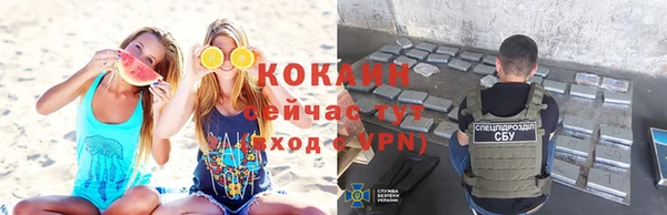 стаф Абаза